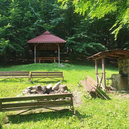 Apartament Widokowy Z Tarasem Bukowa Wisła Dış mekan fotoğraf